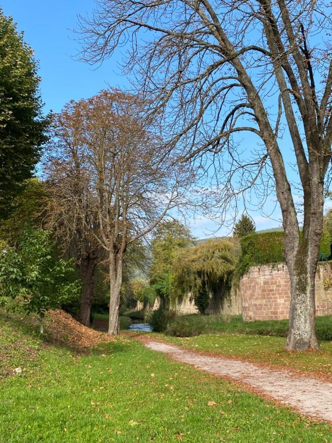 Belle Chambre Privee - Salle De Bain - Jardin - Wifi - Wissembourg Buitenkant foto